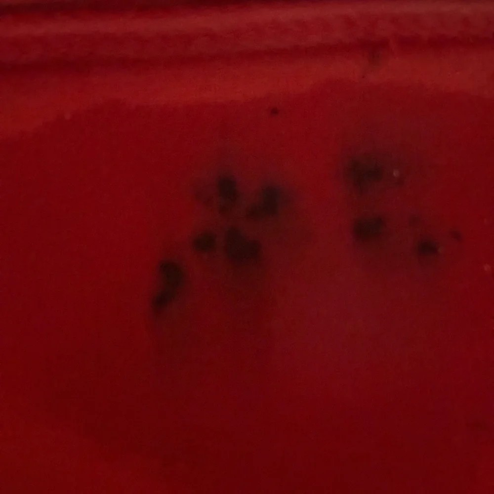 Louis Vuitton Nerverfull Damier Ebene Tote w cherry interior - Picture 9 of 11